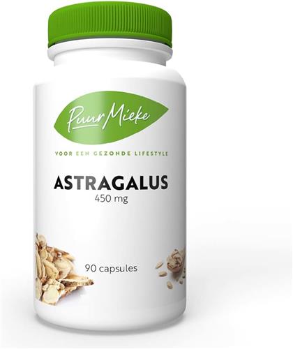 Astragalus - 450mg - 90 caps