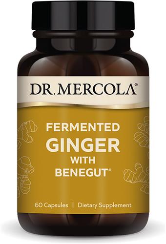 Dr. Mercola - Fermented Ginger with Benegut - 60 capsules