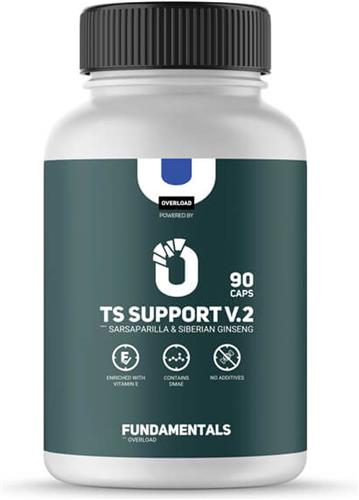 Fundamentals Ginseng & Sarsaparilla - TS Support V2 - Chroom - Vitamine B - DMAE - 90 Caps - Voedingssupplement