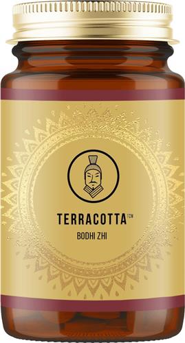 Terracotta TCM BODHI-ZHI paddenstoelen combi 90 Caps: Lion's Mane en Cordyceps Sinensis