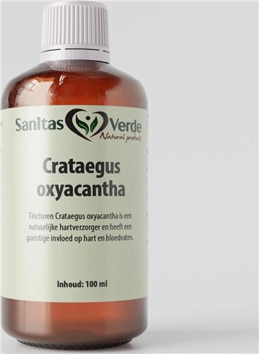 Crataegus Oxyacantha (Meidoorn) tinctuur 100 ml