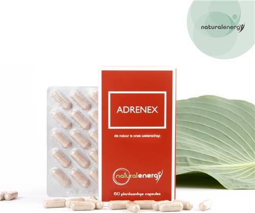 Adrenex – 60 Vegan Caps met 6 Adaptogene Planten – Fysieke en Mentale Prestaties (1) – Ondersteuning Bijnieren (2)