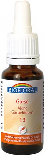 13 - Gorse - Gaspeldoorn - Bio - Bio Demeter