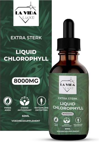 Chlorofyl Druppels - Extra sterk - 8000MG - Met E-BOOK - Chlorophyll Liquid - Vloeibaar - Supplement - Gua Sha - Chlorofyll Drops - Chlorella - Chlorofil Water - Chlorophyll drops - Superfood - afvallen - chlorella