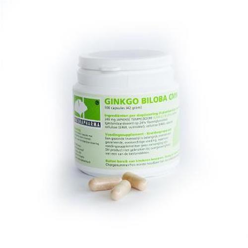 2 x Ginkgo Biloba CMN Plus