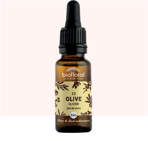 23 - Olive - Olijf - Bio - Bio Demeter