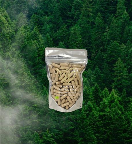 Naturewonders Maitake 450 mg 120 BIO CAPSULSES