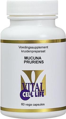 Mucuna Pruriens Vcl