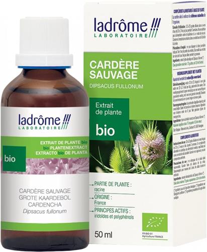 Ladrôme Extrait de Plante Bio Cardère Sauvage 50 ml