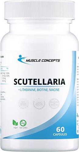 Scutellaria (Blauw Gildkruid) + L-Theanine + Biotine + Niacine - 60 vegetarische capsules | Muscle Concepts