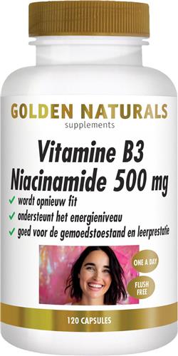Golden Naturals Vitamine B3 Niacinamide 500mg (120 veganistische capsules)