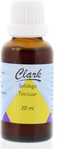 Solidago Guldenr Clark Holisan