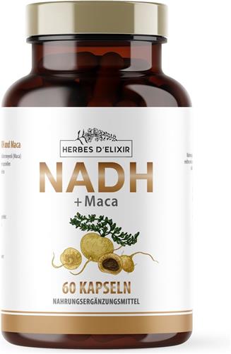 NADH 20 mg - 60 Capsules - Lepidium Meyenii (Maca) - Ondersteunt Energieproductie - Geschikt voor Vegetariërs
